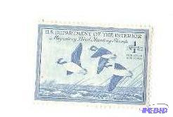 1948 UNUSED Migratory Waterfowl Stamp - This is very rare