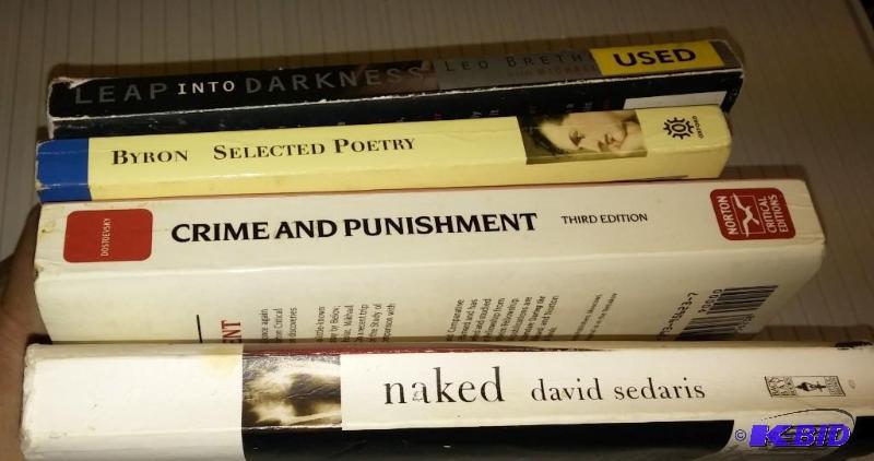 Large Lot of Paperback Novels...