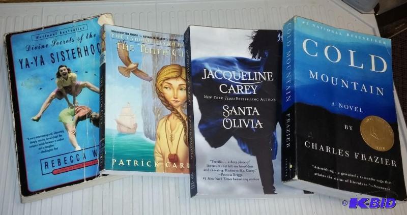 Large Lot of Paperback Novels...
