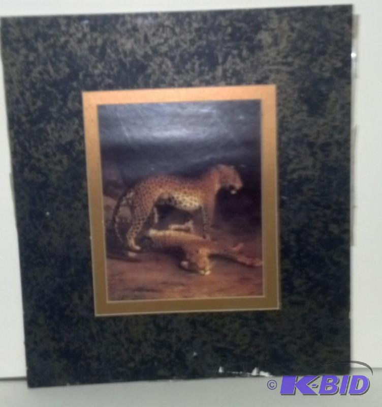 Picture as shown-No Frame 18 X 24...