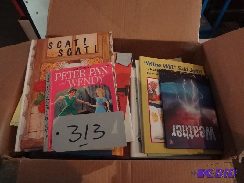 Lot of Childrens Books
