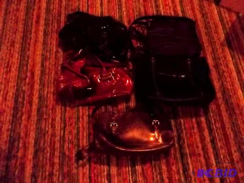 5-Assorted Purses...