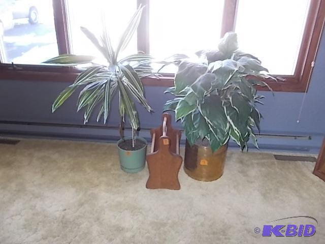2 Potted Plants (One Artificial) &nbsp&amp ...