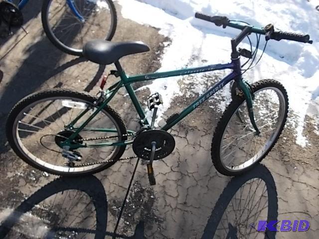 15 Speed Free Spirit&nbspMountain Bike 24 In...