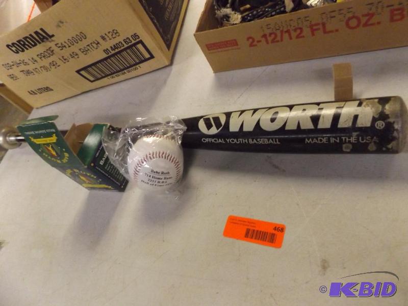 Worth Offficial Youth Baseball Bat and Babe R...
