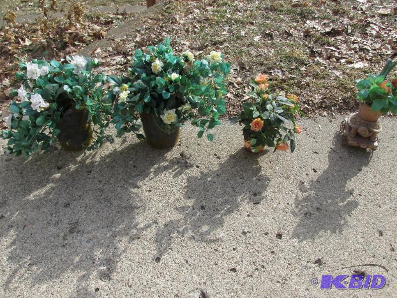 lot 10 image: For indoor or out and they take very little care