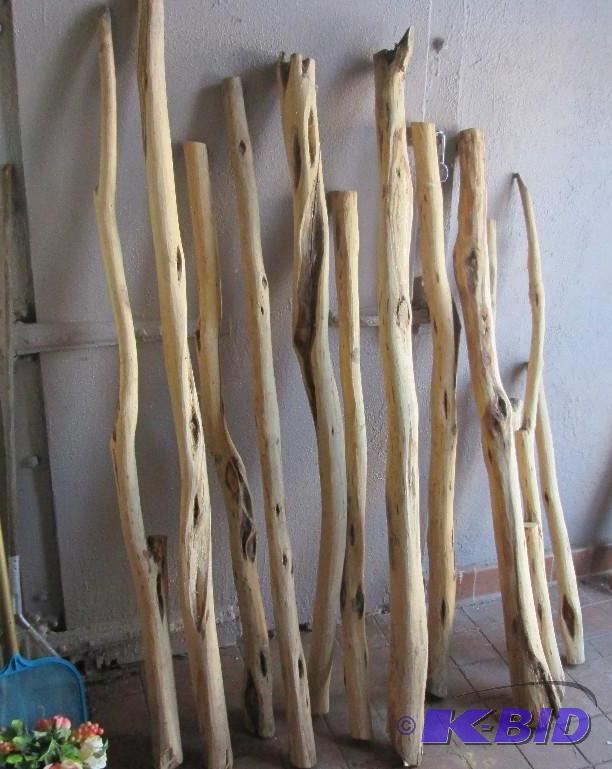 lot 154 image: Lot of 13 diamond willow logs, up to 6 feet l...