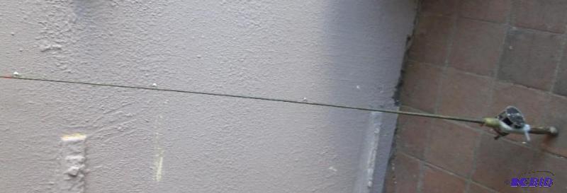 lot 170 image: Vintage rod and reel...