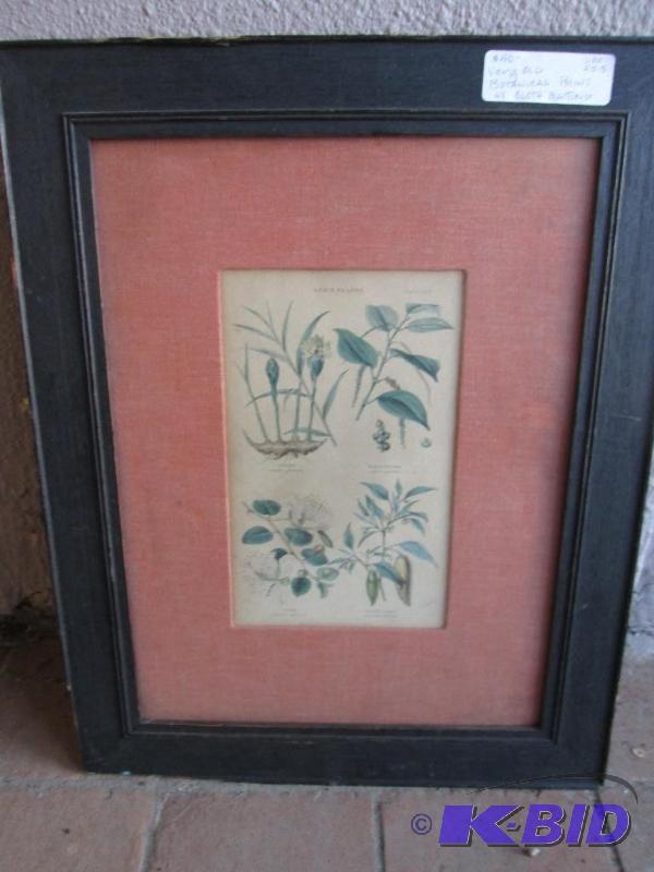 lot 5 image: Framed and matted spice plants print...cloth ...