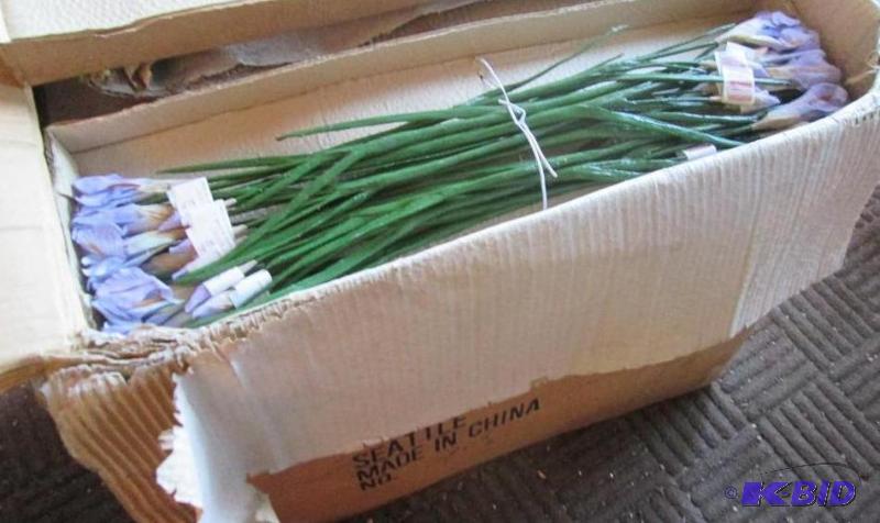 lot 96 image: Case of Japanese Lavender flowers Iris. Appro...