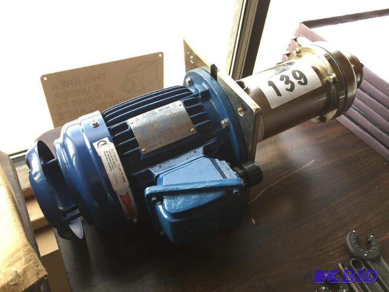 lot 139 image: Velocity Dolphin stainless pump with motor....