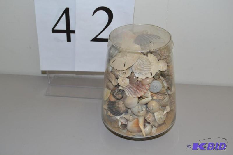 lot 42 image: Container of sea shells