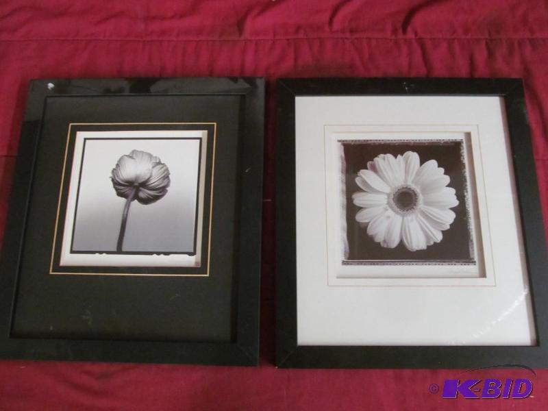 Pictures