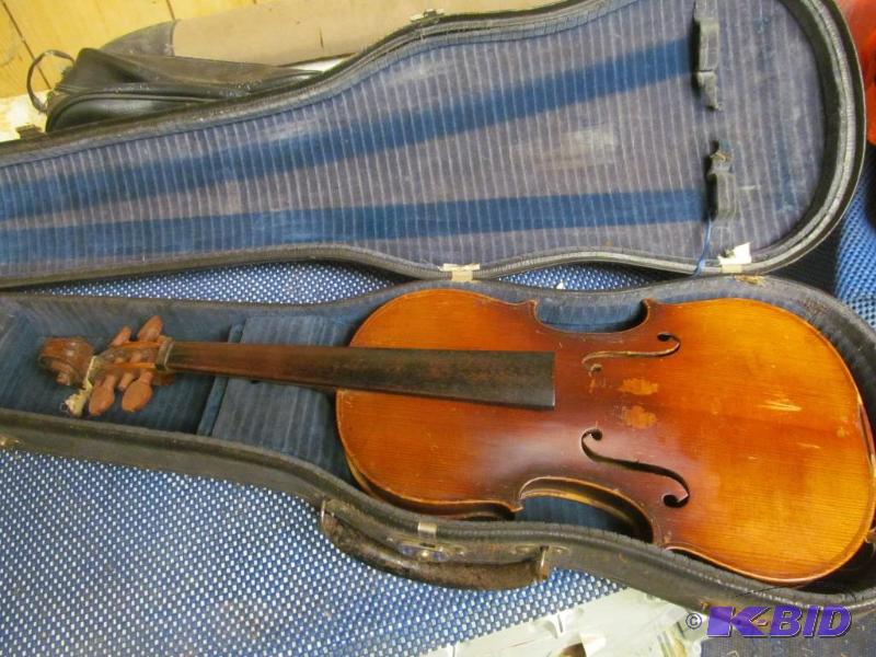 Violin