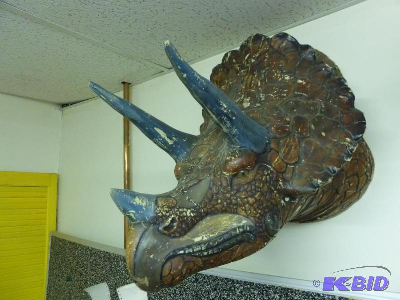 Triceratops