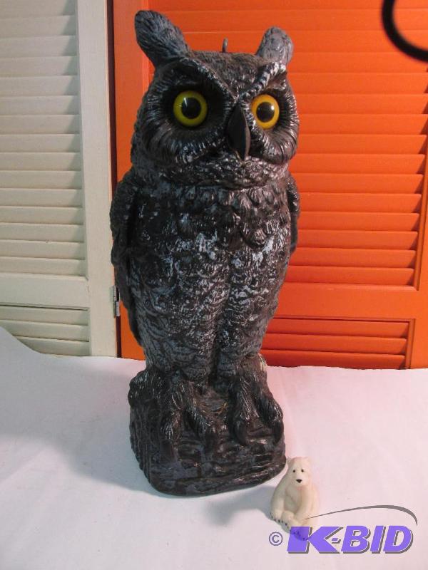 An Owl and a Bear