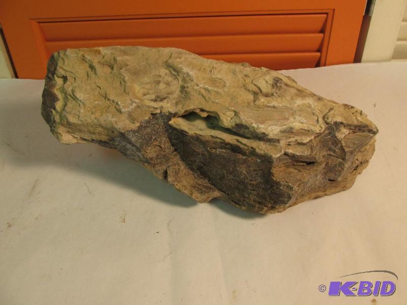 Large piece of Petrified Wood