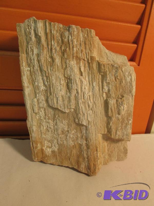 Petrified Wood