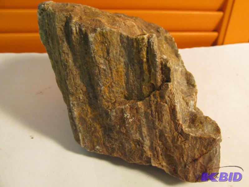 Petrified Wood