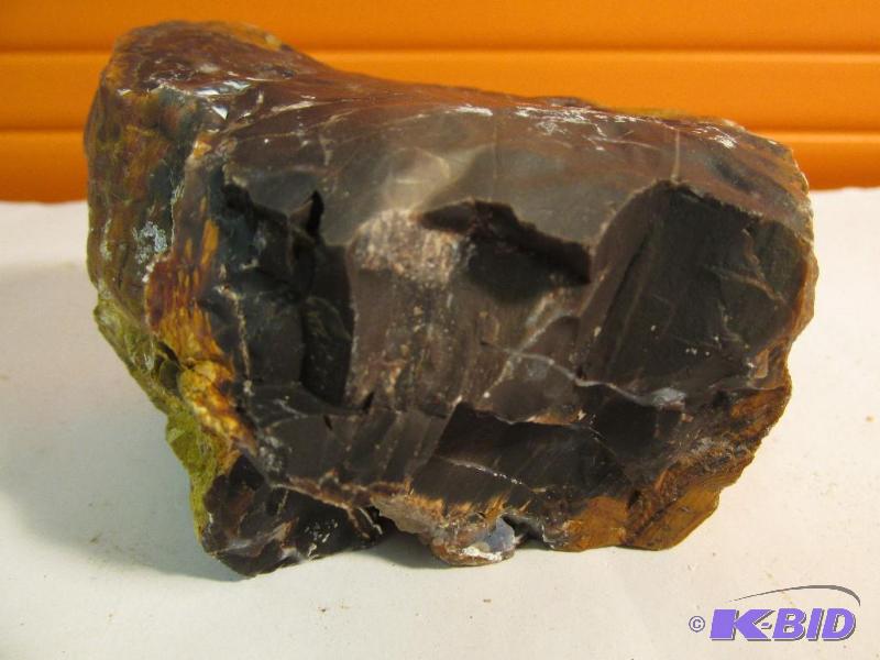 Petrified Wood - with one side polished