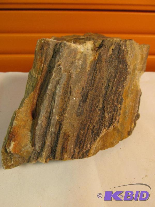 Petrified Wood