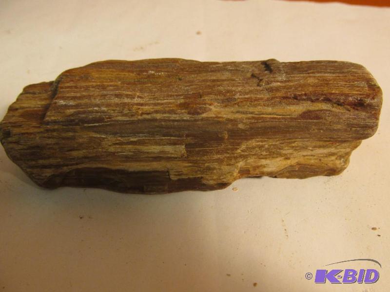 Small piece of Petrified Wood