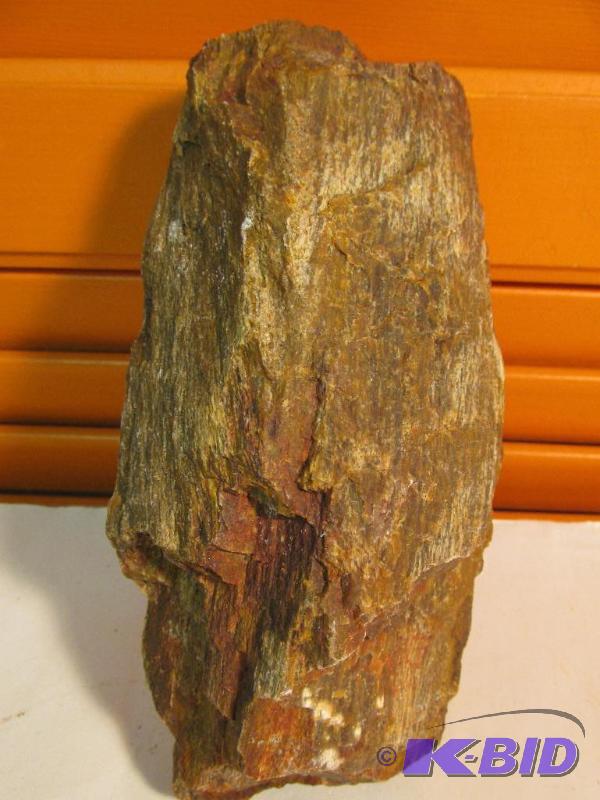 Petrified Wood