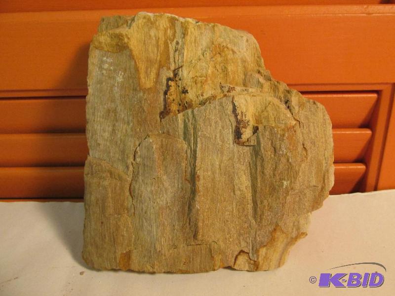 Petrified Wood