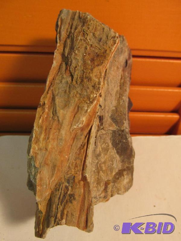 Petrified Wood