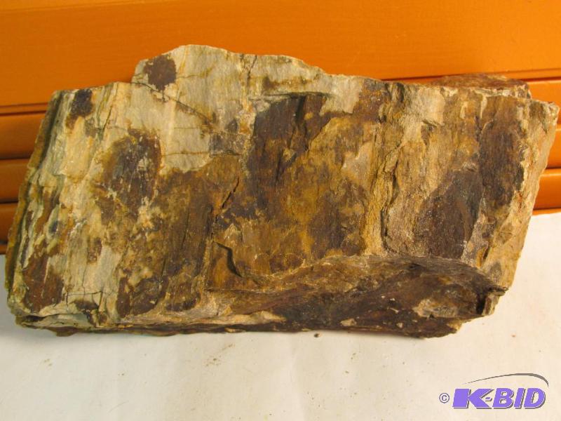 Petrified Wood