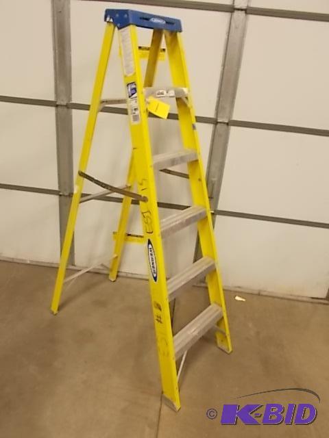 Werner 6 Fiberglass Step Ladder, 250 lb. Cap...