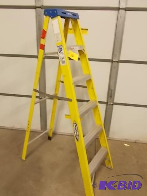Werner 6 Fiberglass Step Ladder, 250 lb. Cap...