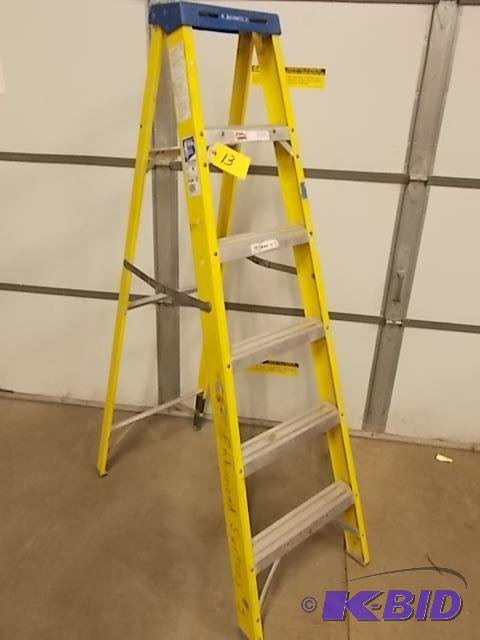 Werner 6 Fiberglass Step Ladder, 250 lb. Cap...