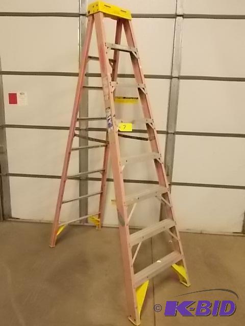 Werner 8 Fiberglass Step Ladder, 300 lb. Cap...