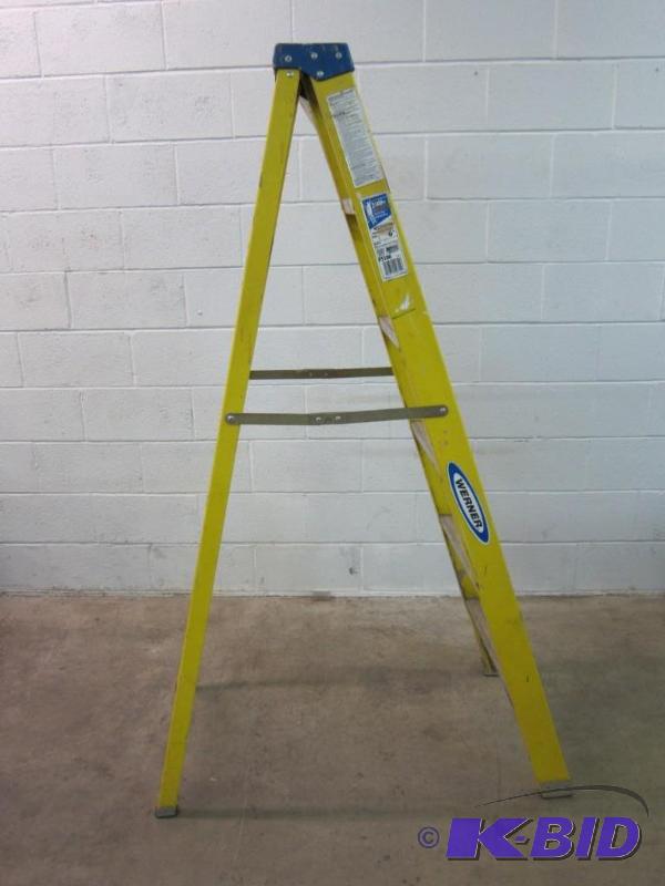 lot 14 image: 6 Ft. Werner Ladder