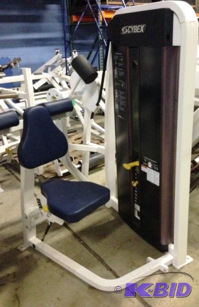 Cybex Eagle Bicep Curl