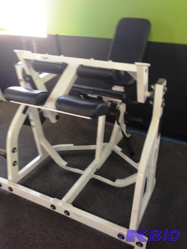 Hammer Seated Leg Curl