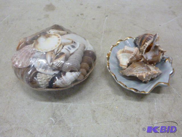 lot 95 image: Sea Shell Decor...