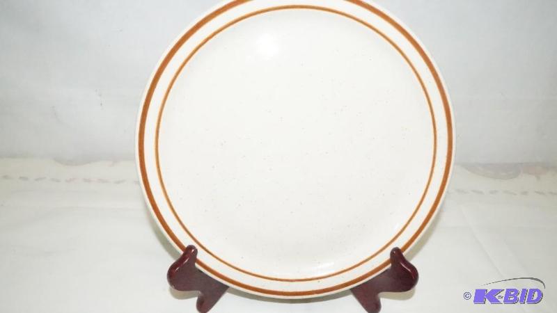 49 9.5 Restaurant Quality Plates