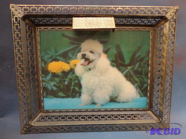 Poodle Picture with Light and Mirror   Pictur...
