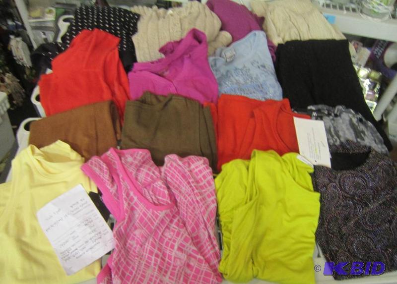 Misc Lot of Clothes - 11 Tops and 5 Sweater New and Gentle Used - Park Avenue Beaded Top, Etc