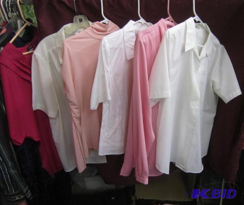 5 Blouses - 2 Pink and 3 White - (2 Erin London, Patchington, Fox Croft, Yves St. Clair) Size 10-14