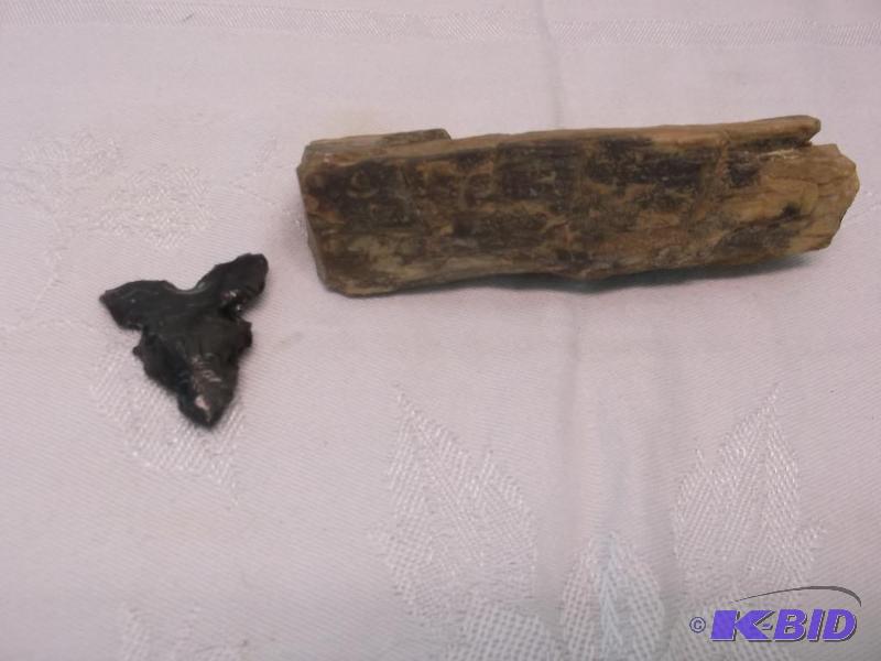 lot 54 image: Lot with arrowhead & petrified wood....