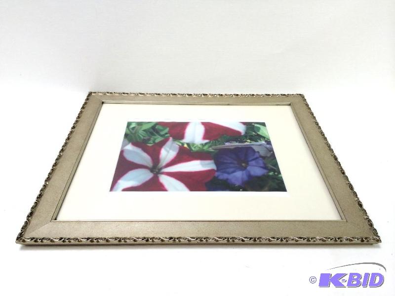 lot 9 image: Professionally Framed Color Photograph of Petunias - Great Decor Item