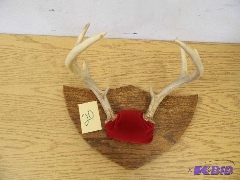 Antlers