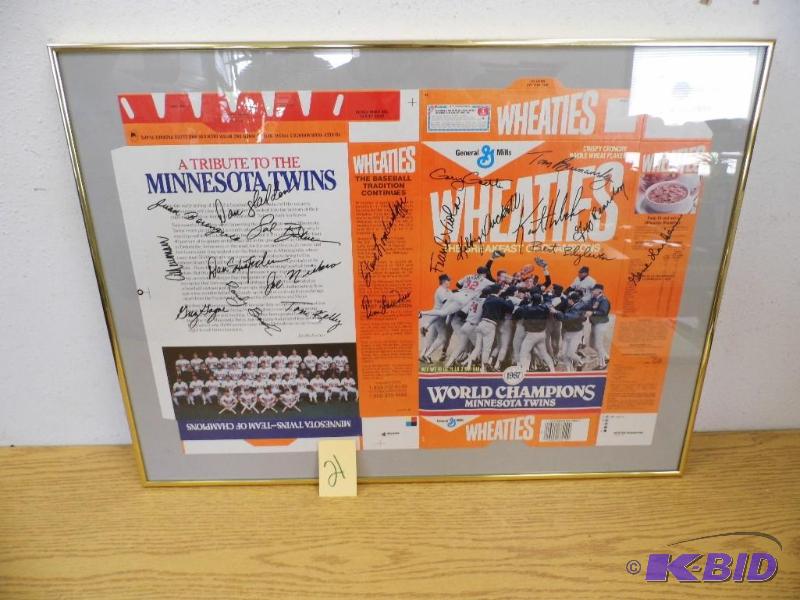 Wheaties Box Twins