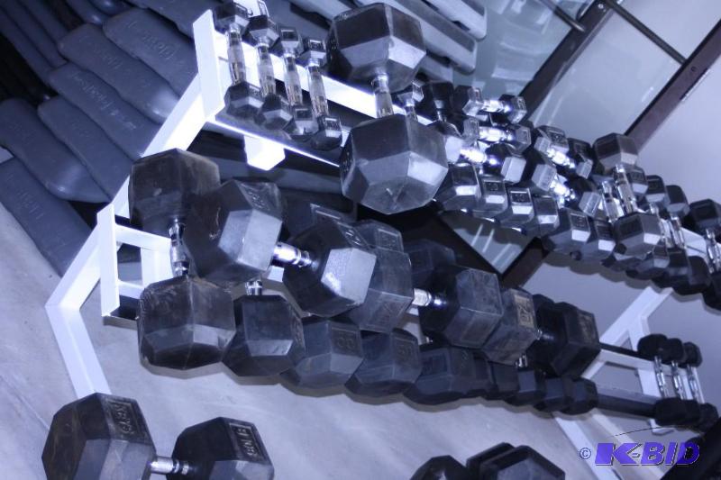 lot 28 image: Dumbells and Two-Tier Rack