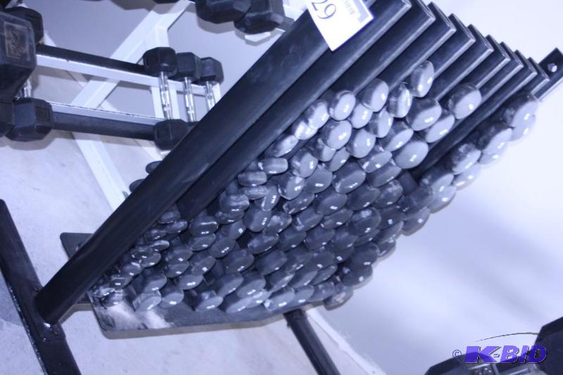 lot 29 image: Dumbells and Rack