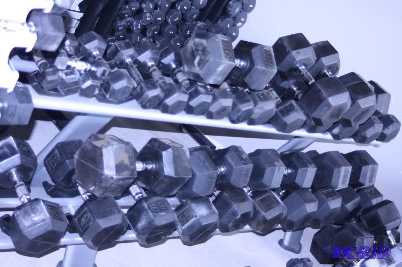 lot 32 image: Torque Fitness Dumbells and Two-Tier Rack