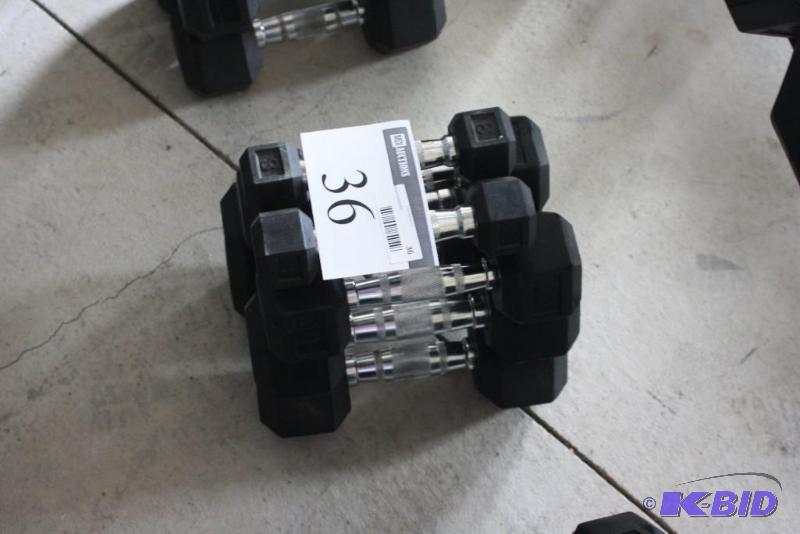 lot 36 image: Dumbells